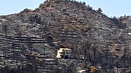 Burnt trees stand in an area scorched by a wildfire near Vila Vella, Valencia province, Spain, Thursday, July 30, 2026. 