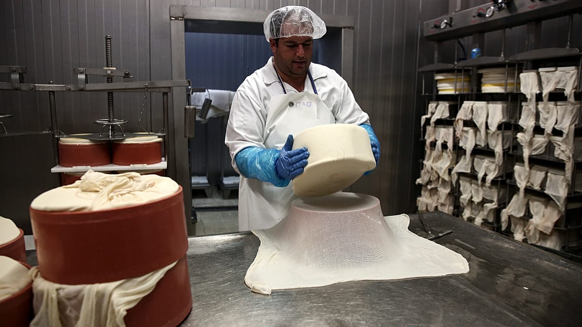 Foot-and-mouth disease: Lesvos cheese ban lifted amid tourist season