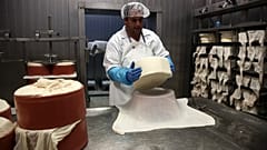 File photo - Cheese dairy