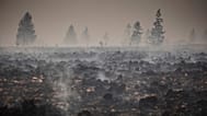 Smoke rises from a scorched field and forest as a wildfire burns near Waimes, 17 August, 2026