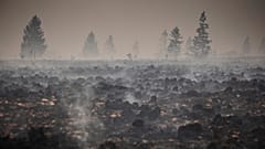 Smoke rises from a scorched field and forest as a wildfire burns near Waimes, 17 August, 2026