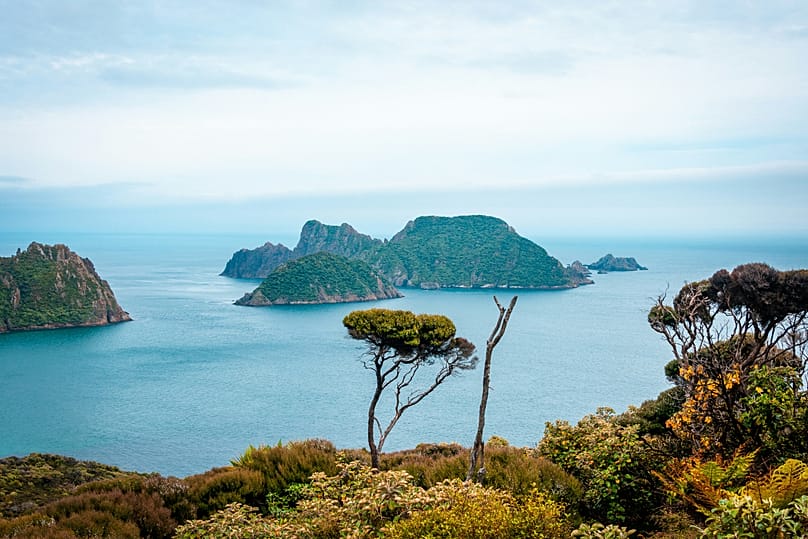 Stewart Island, na Nova Zelândia, lidera a lista mundial