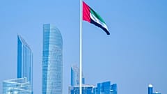 العلم الإماراتي