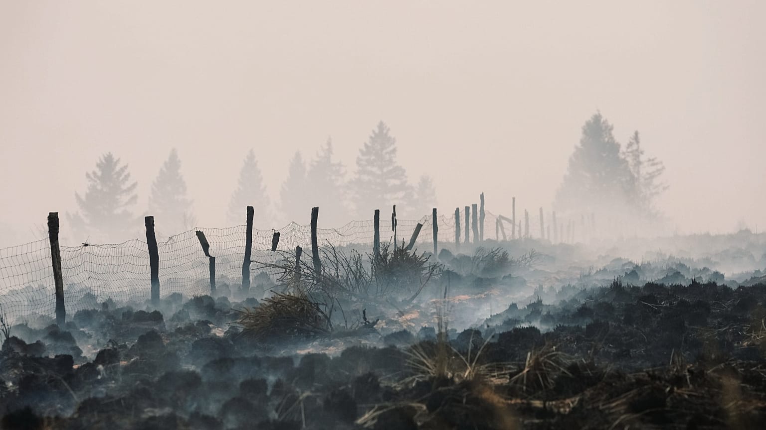 Smoke rises from a scorched field as a wildfire burns near Waimes, 17 August, 2026