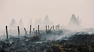 Smoke rises from a scorched field as a wildfire burns near Waimes, 17 August, 2026