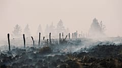 Smoke rises from a scorched field as a wildfire burns near Waimes, 17 August, 2026