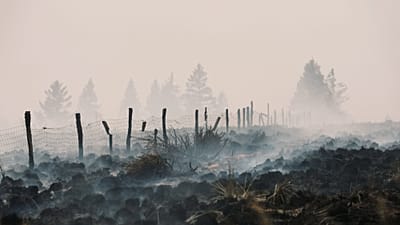 El humo se eleva desde un campo calcinado mientras un incendio forestal arde cerca de Waimes, el 17 de agosto de 2026