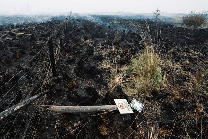 Smoke rises from a scorched field as a wildfire burns near Waimes, 17 August, 2026