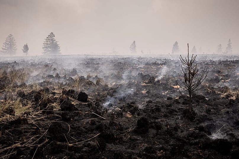 Smoke rises from a scorched field as a wildfire burns near Waimes, 17 August, 2026
