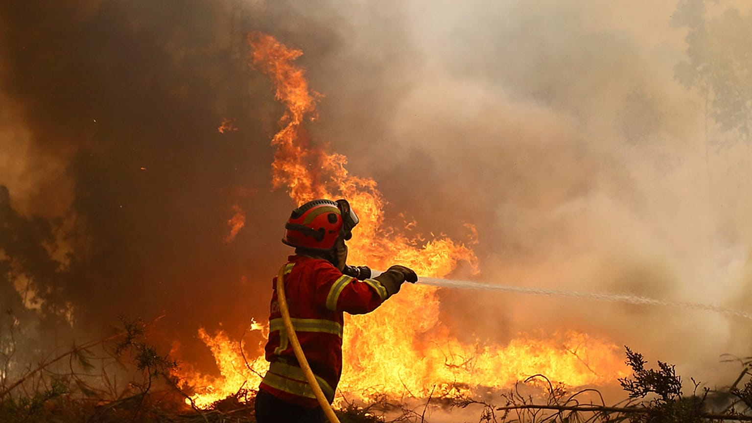 ARQUIVO - Bombeiro combate fogo em Sever do Vouga, setembro de 2024