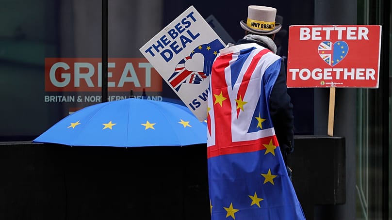 A pro-EU protester is seen in London