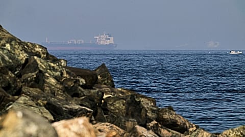 FILE: Cargo ships are seen at sea in the Gulf of Oman near the Strait of Hormuz, from a rocky shoreline near Khor Fakkan, United Arab Emirates, 1 May 2026