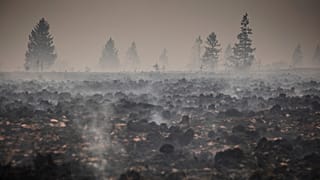 Smoke rises from a scorched field and forest as a wildfire burns near Waimes, 17 August, 2026