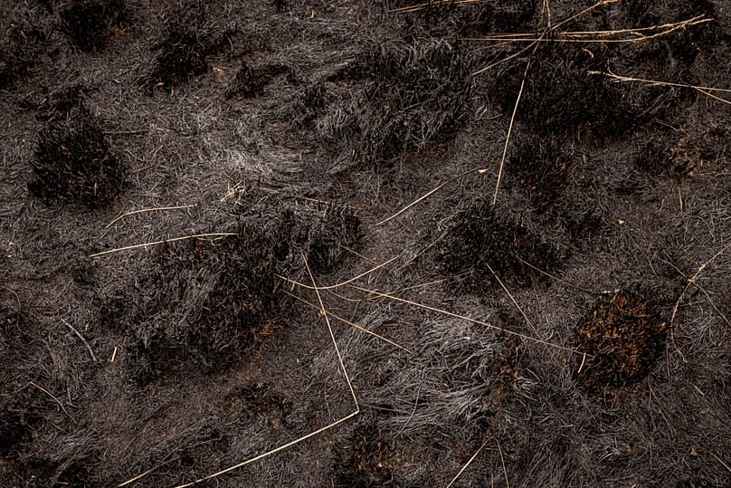 A scorched field as a wildfire burns near Waimes, 17 August, 2026