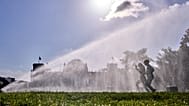 Women run past a sprinkler in front of the Reichstag building on a summer morning in Berlin, 11 August, 2026