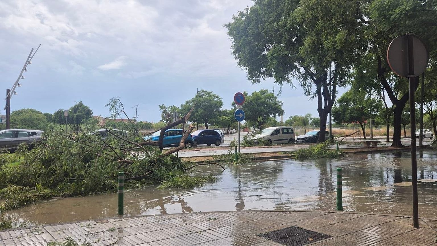 Los fuertes vientos han provocado daños materiales en distintos puntos de la provincia de Valencia.