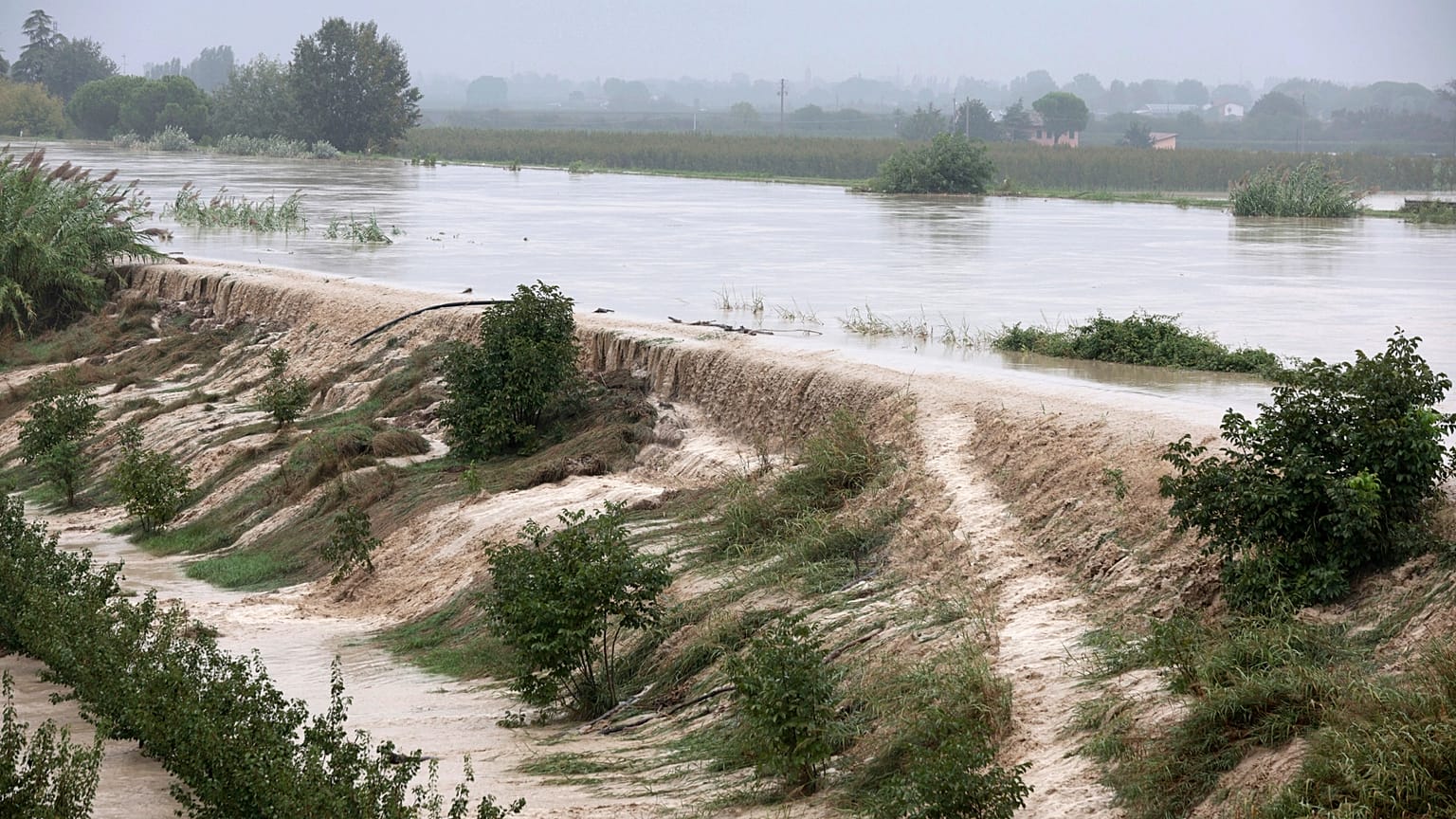 Εικόνα αρχείου- The Lamone river overflows its banks near Bagnacavallo, in the region of Emilia-Romagna