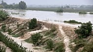 Εικόνα αρχείου- The Lamone river overflows its banks near Bagnacavallo, in the region of Emilia-Romagna
