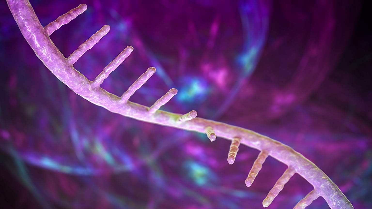 تركز الدراسة المنشورة في مجلة "Nature" على تعديل طبيعي في الحمض النووي الريبي يسمى N4-acetylcytidine أو "ac4C".