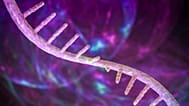 تركز الدراسة المنشورة في مجلة "Nature" على تعديل طبيعي في الحمض النووي الريبي يسمى N4-acetylcytidine أو "ac4C".