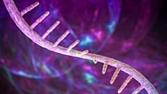 The research, published in Nature, focuses on a naturally occurring RNA modification called N4-acetylcytidine, or ac4C.