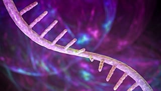 تركز الدراسة المنشورة في مجلة "Nature" على تعديل طبيعي في الحمض النووي الريبي يسمى N4-acetylcytidine أو "ac4C".
