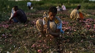 Au Soudan, El Niño et la flambée des coûts menacent les récoltes