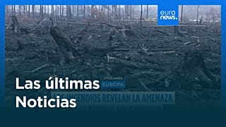 Últimas noticias | 22 agosto 2026 - Tarde