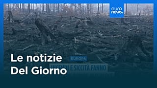Le notizie del giorno | 23 agosto 2026 - Mattino