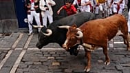 ARCHIVO: Los participantes corren junto al toro de lidia de Miura durante las fiestas de San Fermín en Pamplona, ​​España, el lunes 13 de julio de 2026.