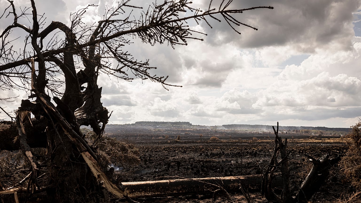  Smoke rises from peat in a landscape scorched by wildfires in Waimes, Belgium, Friday, Aug. 21, 2026.