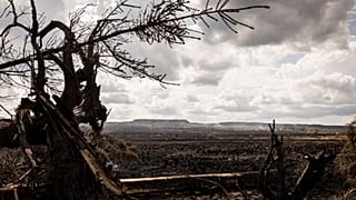  Smoke rises from peat in a landscape scorched by wildfires in Waimes, Belgium, Friday, Aug. 21, 2026.