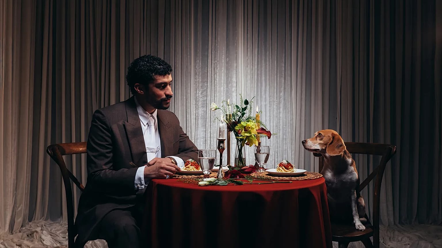 Bad Bunny ve köpeği Sansa
