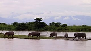 Burundi : les feux ravagent un cinquième du parc de la Ruvubu