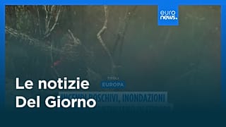 Le notizie del giorno | 23 agosto 2026 - Serale