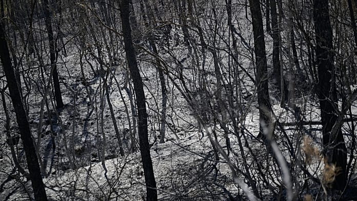 "Response seems far too timid": where does ecology fit in the presidential campaign After a summer dominated by extreme weather, the political response to the climate crisis appears timid and far below what the French expect, say experts.
