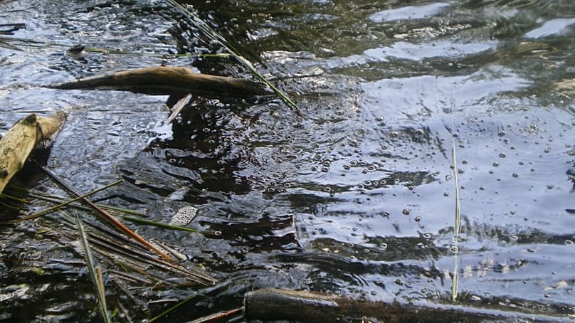 Immer wieder sind an der Seeoberfläche Kohlendioxidblasen zu sehen. Gase steigen aus den Untiefen aus.