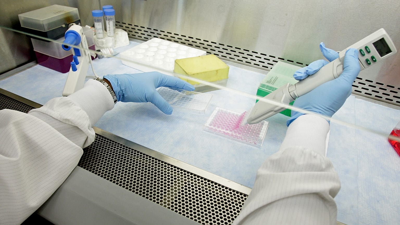 Laboratorio di ricerca su vaccini - archivio