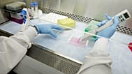 Laboratorio di ricerca su vaccini - archivio