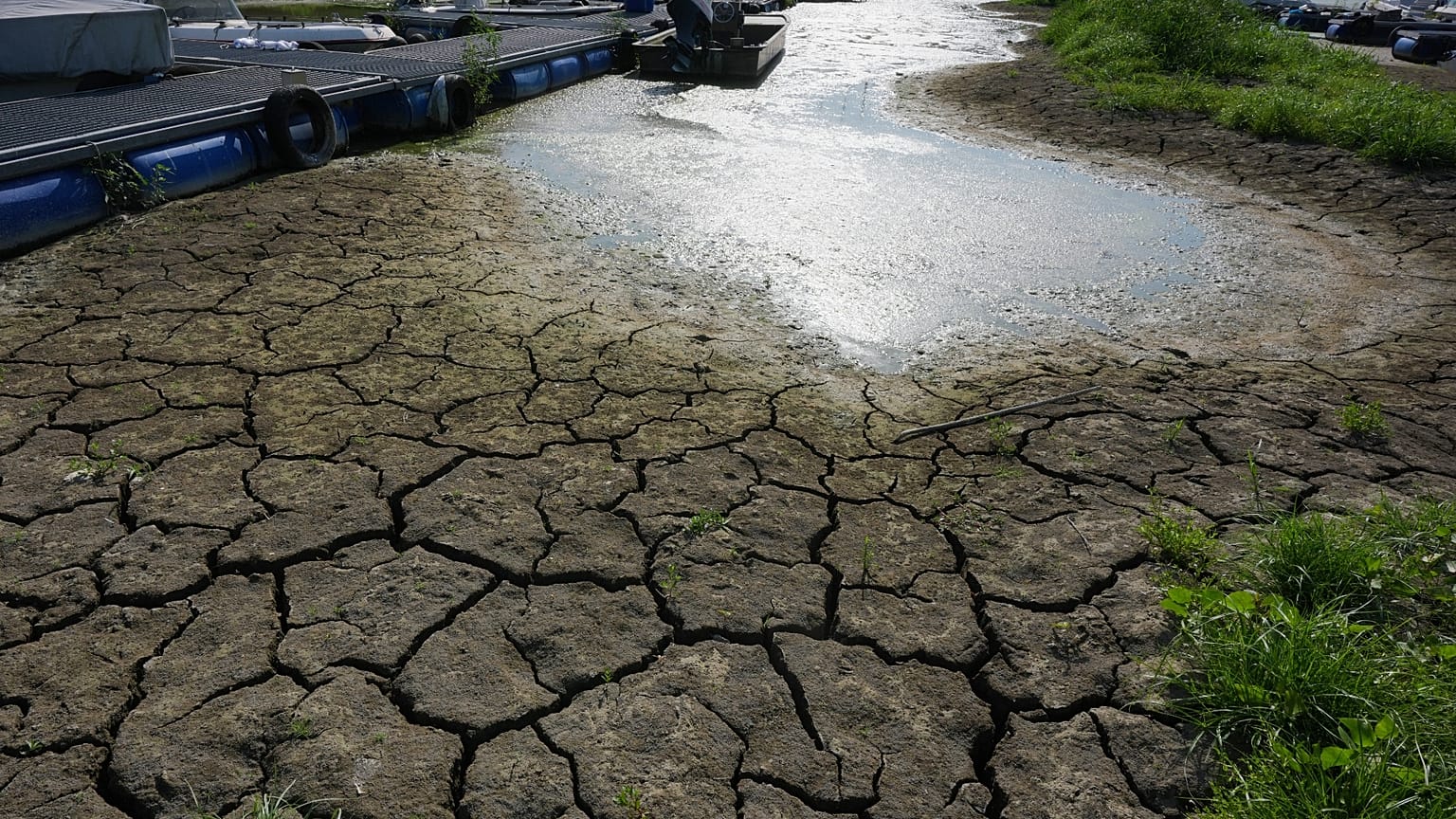 Crepe ricoprono il letto del fiume Po - 10 agosto 2026
