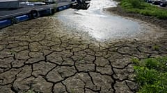 Crepe ricoprono il letto del fiume Po - 10 agosto 2026