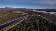 FILE - Onion Portage, a critical migration route for the Western Arctic Caribou Herd along the Kobuk River near Ambler, Alaska, is visible, Sept. 30, 2025. 