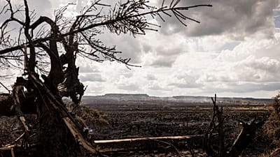 FILE. Smoke rises from peat in a landscape scorched by wildfires in Waimes, Belgium, 21 Aug. 2026