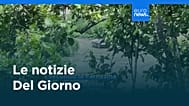 Le notizie del giorno | 26 agosto 2026 - Serale