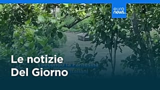 Le notizie del giorno | 26 agosto 2026 - Serale