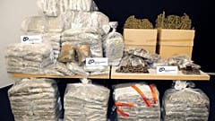 Sequestro di sostanze stupefacenti - archivio