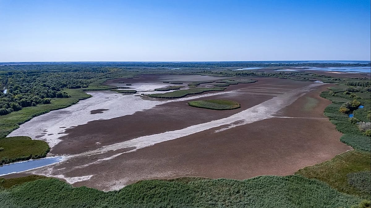 EU countries urged to invest in nature restoration plans and close €65bn annual shortfall