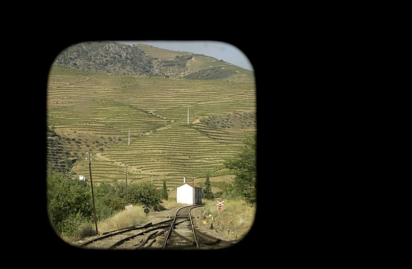 Los viñedos en las laderas del valle del río Duero vistos desde la ventana de un tren que se dirige a Oporto desde la aldea de Pocinho