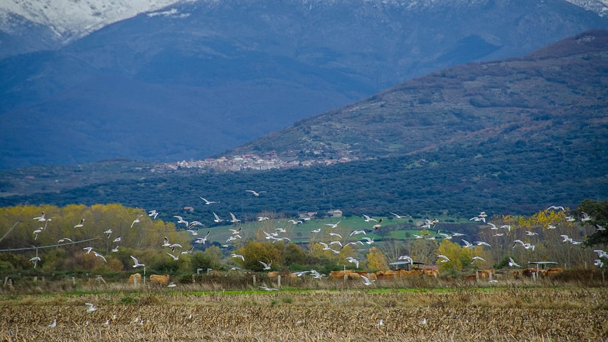 Spain beyond the beach: the best places to visit this autumn