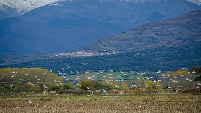 Landscape around Cáparra, in the Ambroz Valley area.